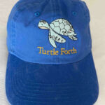 Solari Cap - Turtle Forth